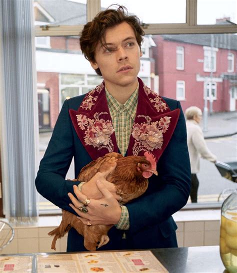 harry styles gucci 2021 campaign|harry styles gucci model.